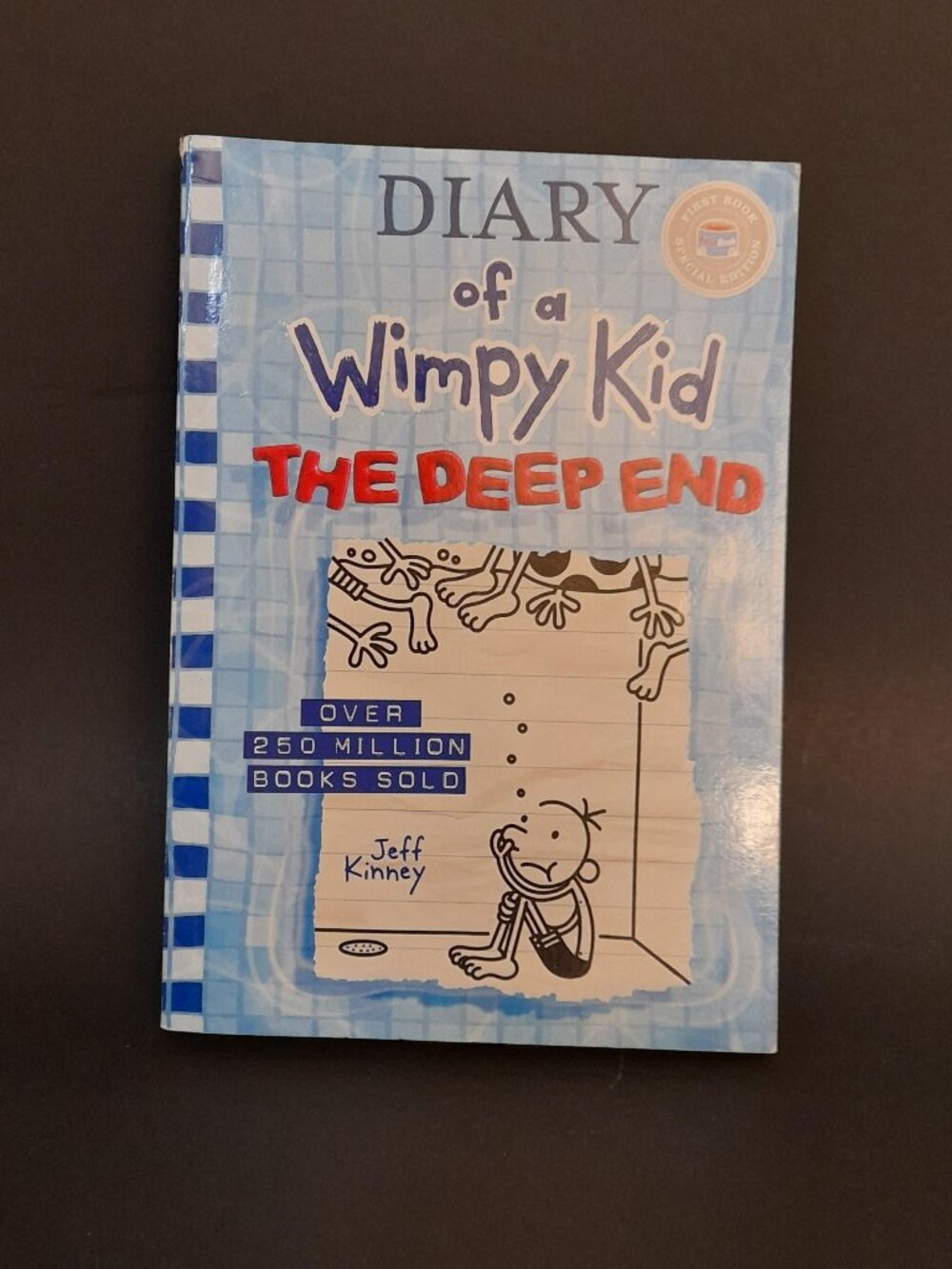 Diary of a Wimpy Kid The Deep End Book